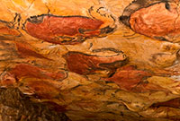 Cuevas de Altamira 2